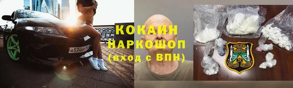 прущие грибы Абаза