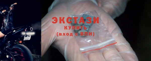 прущие грибы Абаза