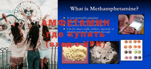 прущие грибы Абаза