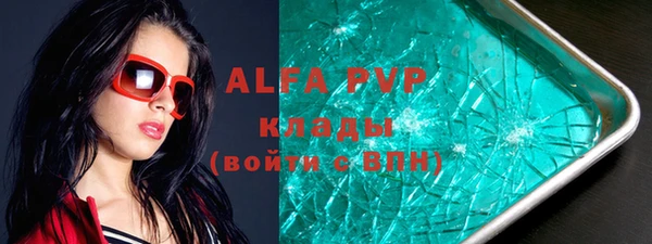 прущие грибы Абаза