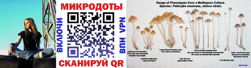 Галлюциногенные грибы Cubensis  Луза 