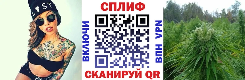 магазин продажи наркотиков  Луза  Бошки Шишки сатива 